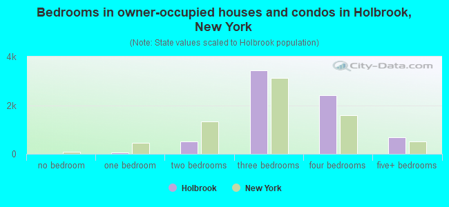 Bedrooms in owner-occupied houses and condos in Holbrook, New York