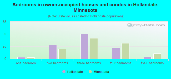 Bedrooms in owner-occupied houses and condos in Hollandale, Minnesota