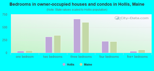 Bedrooms in owner-occupied houses and condos in Hollis, Maine