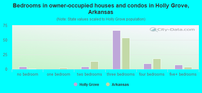 Bedrooms in owner-occupied houses and condos in Holly Grove, Arkansas