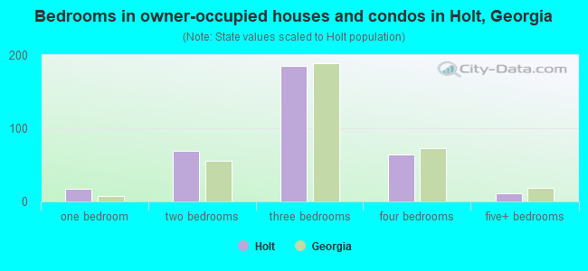 Bedrooms in owner-occupied houses and condos in Holt, Georgia
