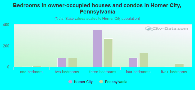 Bedrooms in owner-occupied houses and condos in Homer City, Pennsylvania