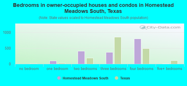 Bedrooms in owner-occupied houses and condos in Homestead Meadows South, Texas