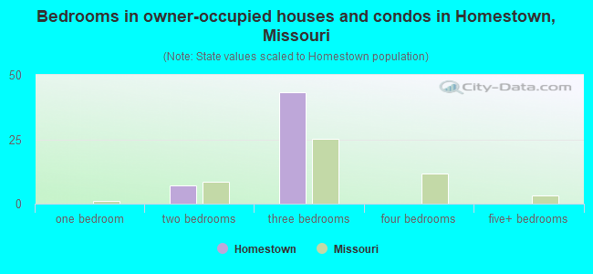 Bedrooms in owner-occupied houses and condos in Homestown, Missouri