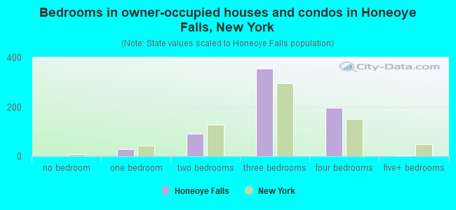 Bedrooms in owner-occupied houses and condos in Honeoye Falls, New York