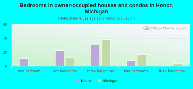 Bedrooms in owner-occupied houses and condos in Honor, Michigan