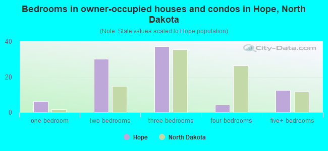 Bedrooms in owner-occupied houses and condos in Hope, North Dakota