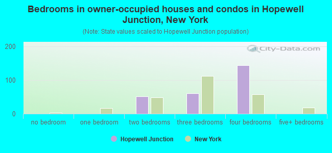 Bedrooms in owner-occupied houses and condos in Hopewell Junction, New York