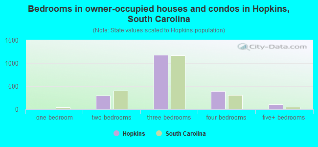 Bedrooms in owner-occupied houses and condos in Hopkins, South Carolina