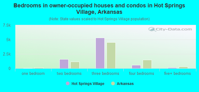 Bedrooms in owner-occupied houses and condos in Hot Springs Village, Arkansas