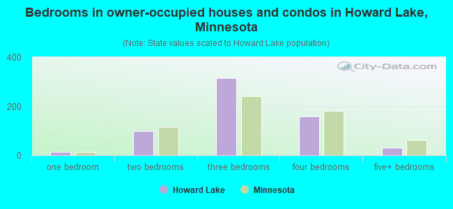 Bedrooms in owner-occupied houses and condos in Howard Lake, Minnesota