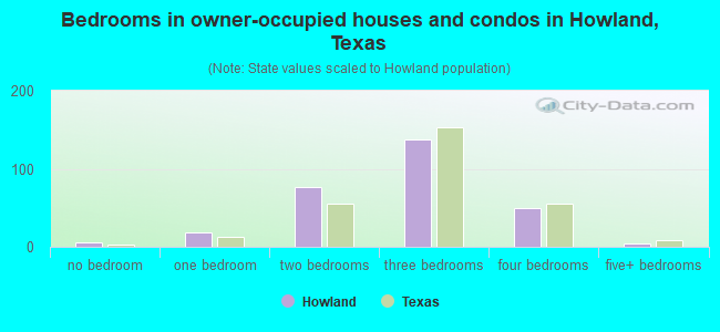 Bedrooms in owner-occupied houses and condos in Howland, Texas