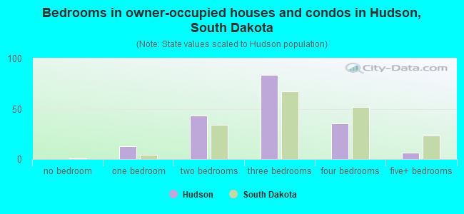 Bedrooms in owner-occupied houses and condos in Hudson, South Dakota