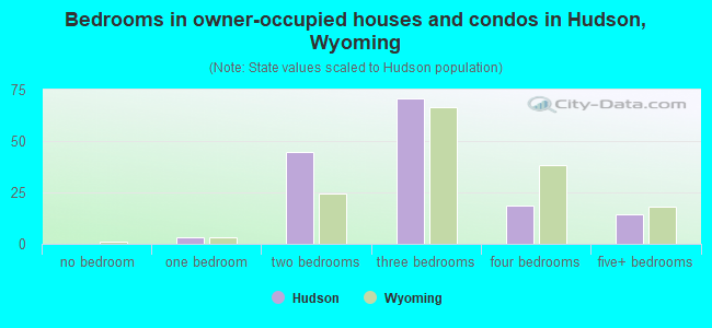 Bedrooms in owner-occupied houses and condos in Hudson, Wyoming