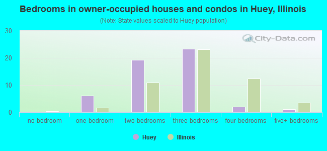 Bedrooms in owner-occupied houses and condos in Huey, Illinois