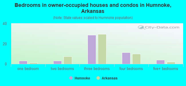 Bedrooms in owner-occupied houses and condos in Humnoke, Arkansas
