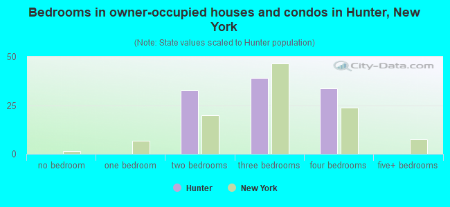 Bedrooms in owner-occupied houses and condos in Hunter, New York