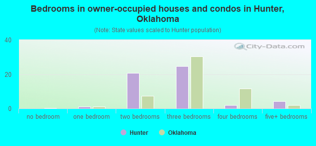 Bedrooms in owner-occupied houses and condos in Hunter, Oklahoma