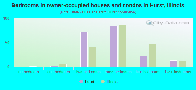 Bedrooms in owner-occupied houses and condos in Hurst, Illinois