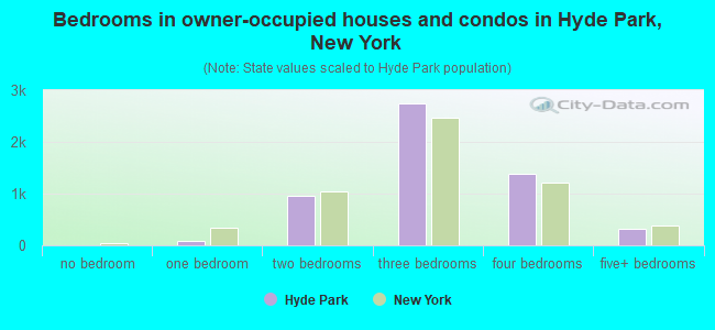 Bedrooms in owner-occupied houses and condos in Hyde Park, New York