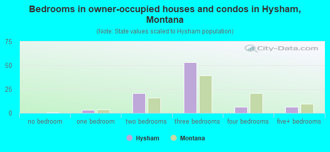 Bedrooms in owner-occupied houses and condos in Hysham, Montana