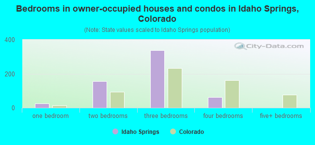Bedrooms in owner-occupied houses and condos in Idaho Springs, Colorado