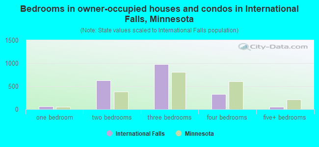 Bedrooms in owner-occupied houses and condos in International Falls, Minnesota