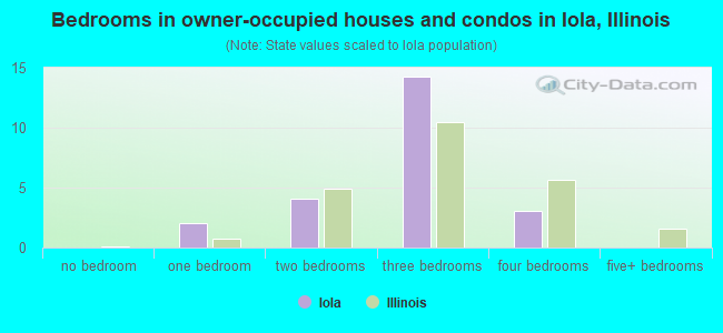 Bedrooms in owner-occupied houses and condos in Iola, Illinois