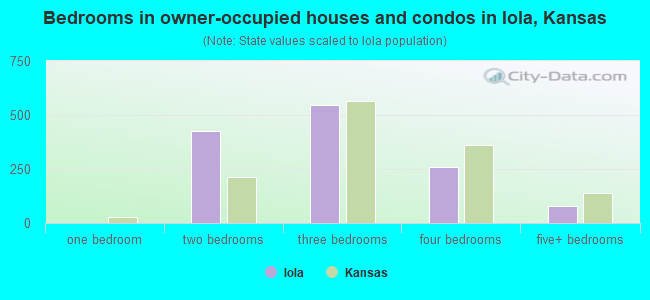 Bedrooms in owner-occupied houses and condos in Iola, Kansas
