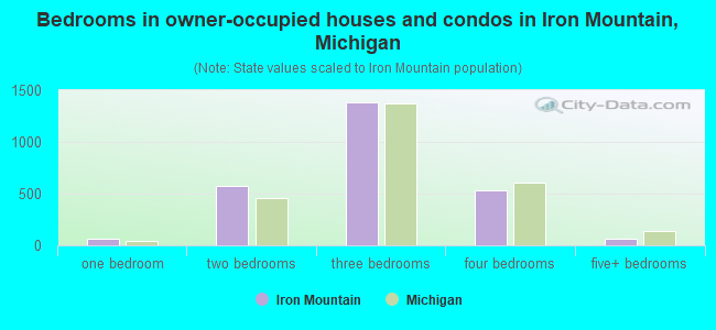 Bedrooms in owner-occupied houses and condos in Iron Mountain, Michigan