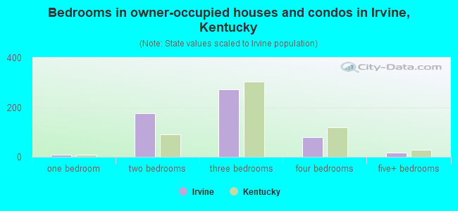 Bedrooms in owner-occupied houses and condos in Irvine, Kentucky