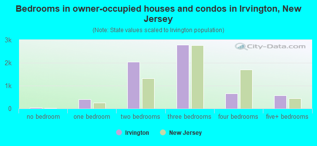 Bedrooms in owner-occupied houses and condos in Irvington, New Jersey