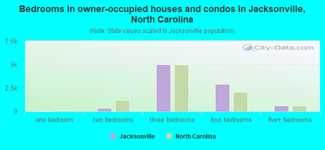 Bedrooms in owner-occupied houses and condos in Jacksonville, North Carolina