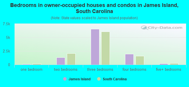 Bedrooms in owner-occupied houses and condos in James Island, South Carolina