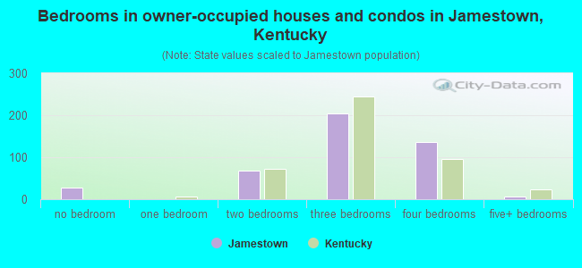 Bedrooms in owner-occupied houses and condos in Jamestown, Kentucky
