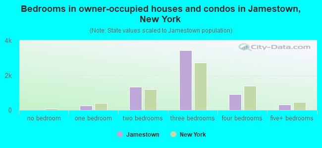 Bedrooms in owner-occupied houses and condos in Jamestown, New York