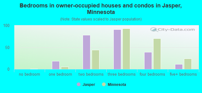 Bedrooms in owner-occupied houses and condos in Jasper, Minnesota