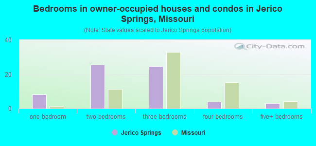 Bedrooms in owner-occupied houses and condos in Jerico Springs, Missouri