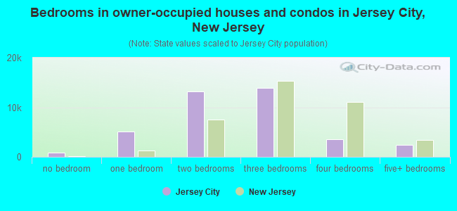 Bedrooms in owner-occupied houses and condos in Jersey City, New Jersey