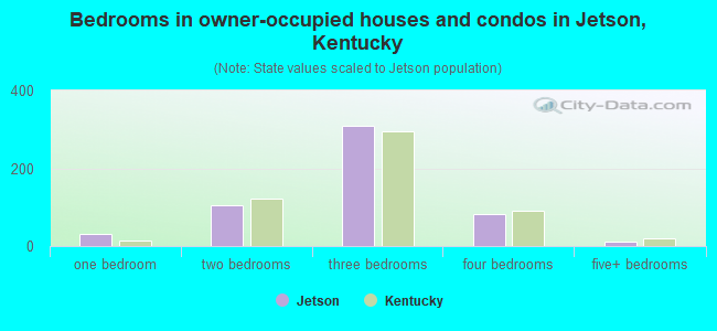 Bedrooms in owner-occupied houses and condos in Jetson, Kentucky