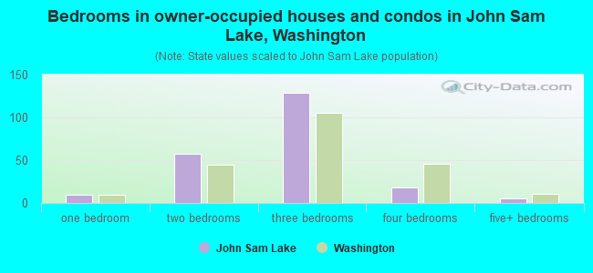 Bedrooms in owner-occupied houses and condos in John Sam Lake, Washington