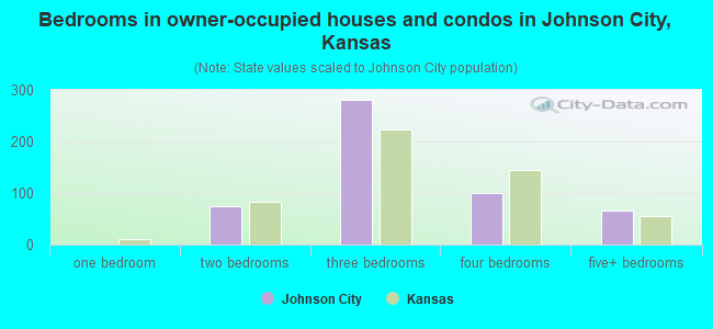 Bedrooms in owner-occupied houses and condos in Johnson City, Kansas