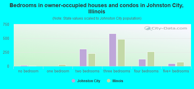 Bedrooms in owner-occupied houses and condos in Johnston City, Illinois