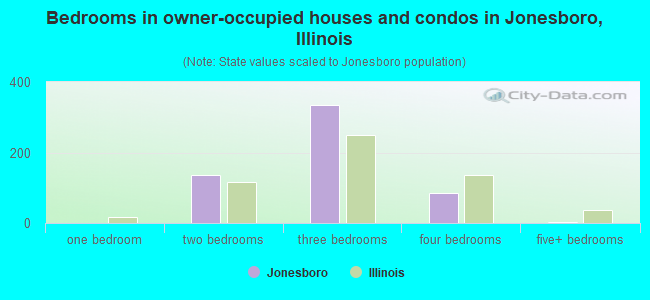 Bedrooms in owner-occupied houses and condos in Jonesboro, Illinois