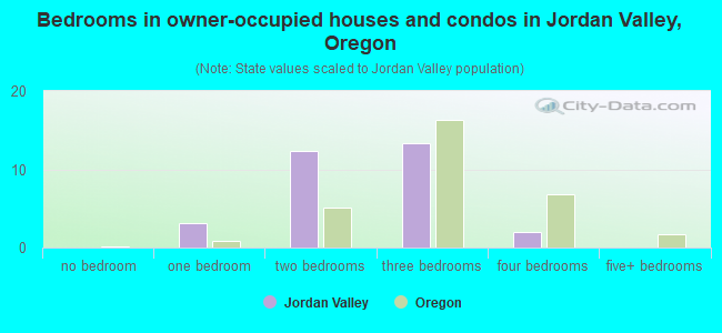 Bedrooms in owner-occupied houses and condos in Jordan Valley, Oregon