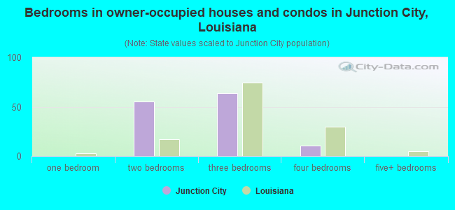 Bedrooms in owner-occupied houses and condos in Junction City, Louisiana