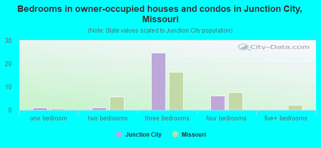 Bedrooms in owner-occupied houses and condos in Junction City, Missouri