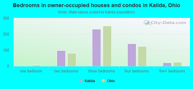 Bedrooms in owner-occupied houses and condos in Kalida, Ohio