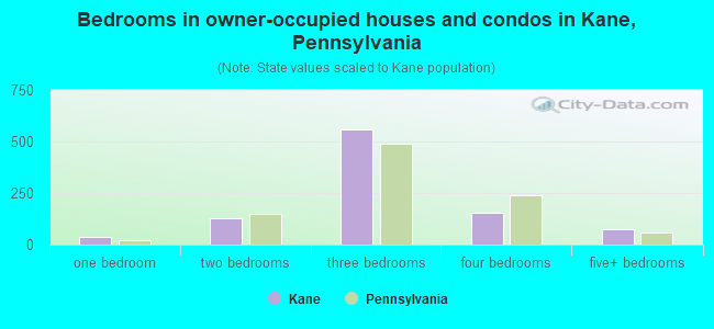 Bedrooms in owner-occupied houses and condos in Kane, Pennsylvania
