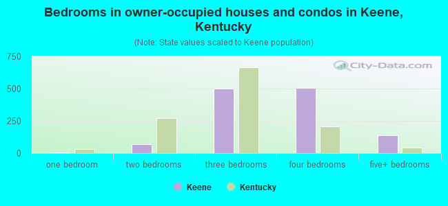 Bedrooms in owner-occupied houses and condos in Keene, Kentucky